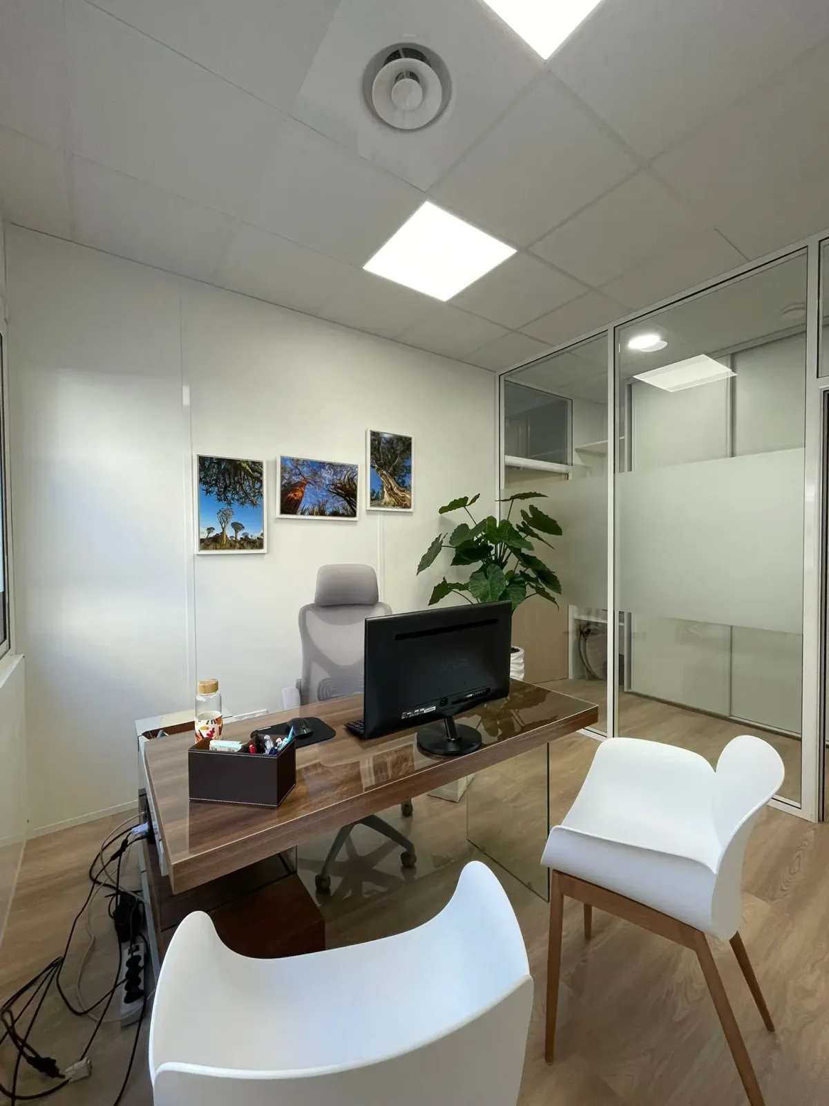 Aménagement de salles de réunion et de bureaux à Vienne, second angle du chantier
